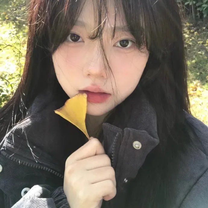 加菲猫和他的朋友们第七季